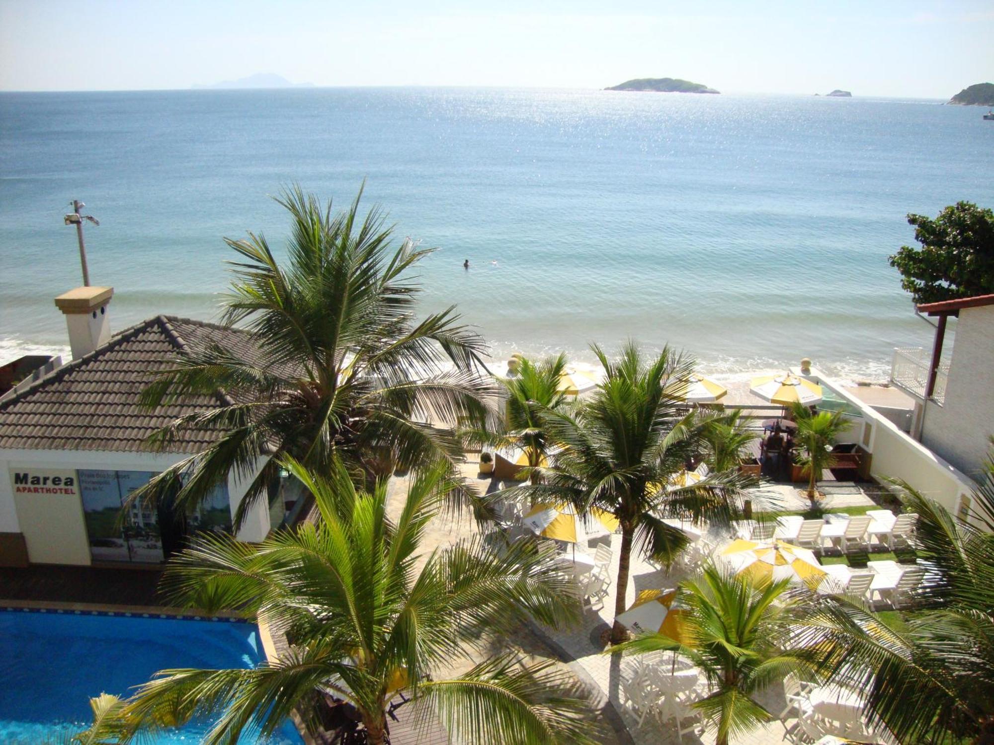 Golfinhos A Beira-mar!! * Florianopolis