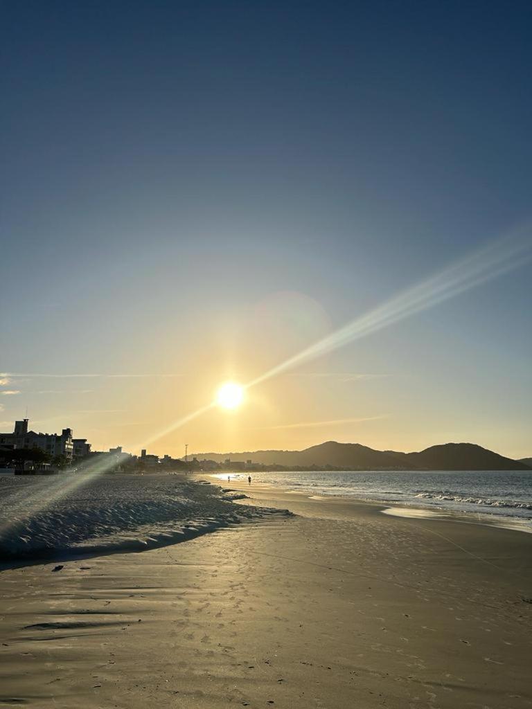 Golfinhos A Beira-mar!!